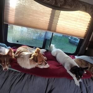 Meet your Posher, Carol